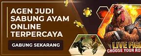 Judi Sabung Ayam Online Terpercaya